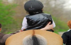 equitazione assistita