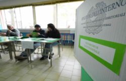 Referendum costituzionale, Molise, affluenza