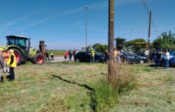 Agrivoltaico, Coldiretti Molise, Campomarino, Portocannone