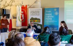 Castel del Giudice, gestione forestale