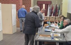 Elezioni, Provincia di Campobasso, affluenza