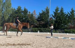 Equitazione, stage, Team Molise Academy