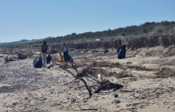 Petacciato, volontari, spiaggia, maltempo