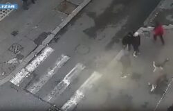 Rapine, Torino, giovani arrestati, Campobasso, Squadra Mobile