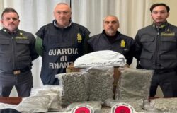 Venafro, marijuana, arresto