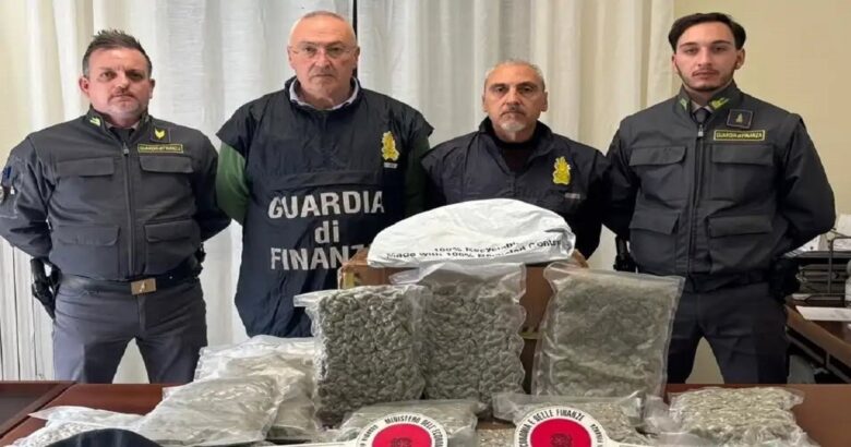 Venafro, marijuana, arresto