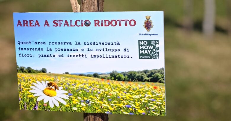 Campobasso, No Mow May, prati urbani