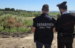 Caporalato, sicurezza sul lavoro, aziende sanzionate, ammende, posizioni lavorative controllate