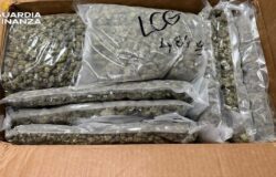 Droga, sequestro, Isernia, arrestato, uomo