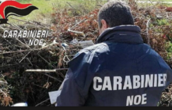 Isernia, NOE, denunciato, gestione illecita di rifiuti