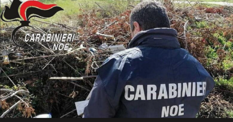 Isernia, NOE, denunciato, gestione illecita di rifiuti