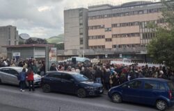 isernia, punto nascita, mobilitazione