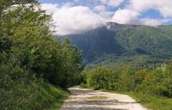 vie, Grano, Legno, comuni molisani, FOSMIT