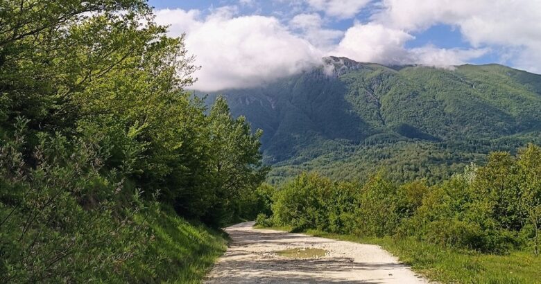 vie, Grano, Legno, comuni molisani, FOSMIT
