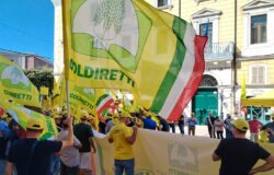 Campobasso, Coldiretti Molise, manifestazione, crollo dei prezzi, grano, olio