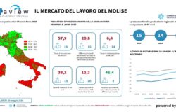 Mercato del lavoro, Molise, disoccupazione