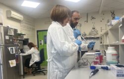Neuromed, Università di Milano, malattia di Huntington