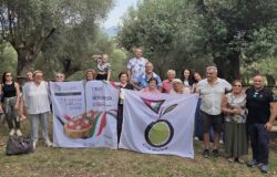 Venafro, Merenda nell’Oliveta, Città dell’Olio, Parco Regionale