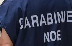 carabinieri noe