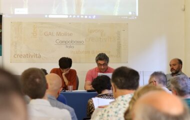 GAL Molise, bilancio, Consiglio di Amministrazione