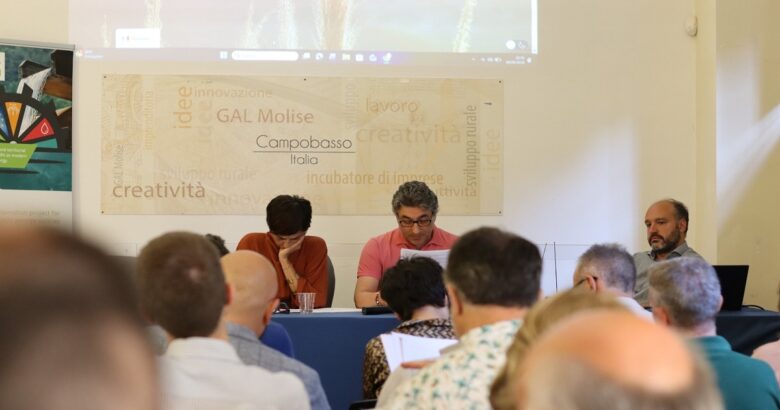 GAL Molise, bilancio, Consiglio di Amministrazione
